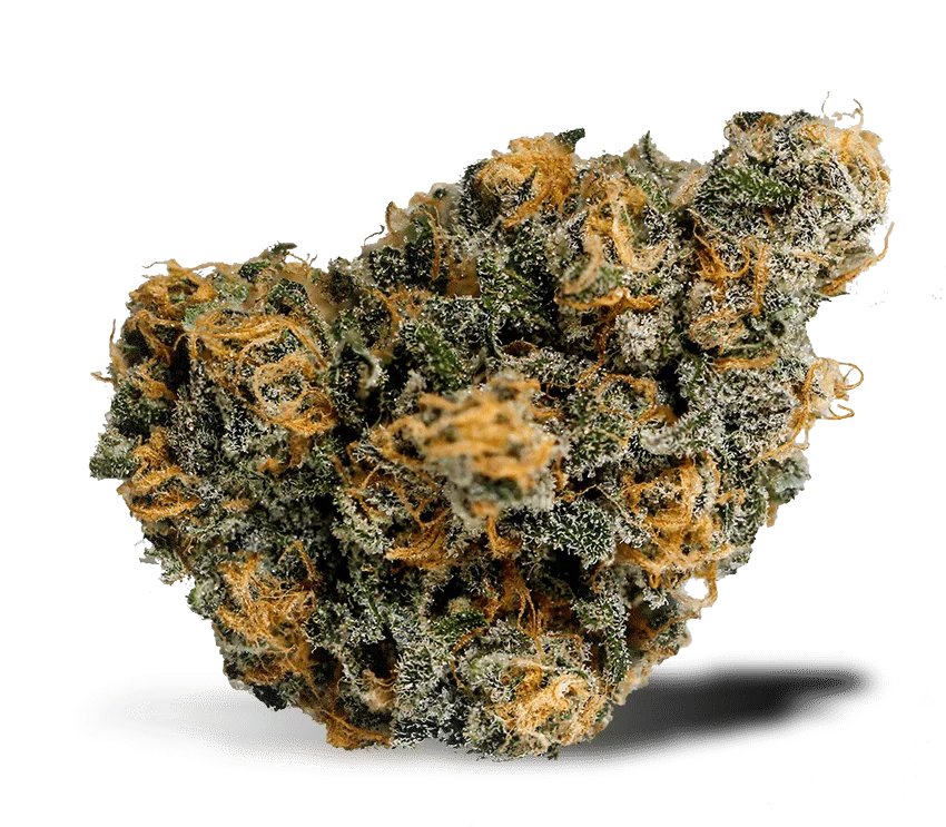 Blue-Dream-Strain Blue Dream Strain