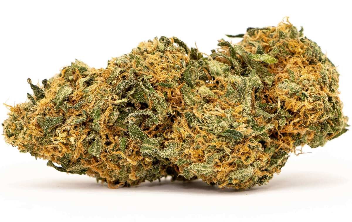 R (28) Mango Haze Strain