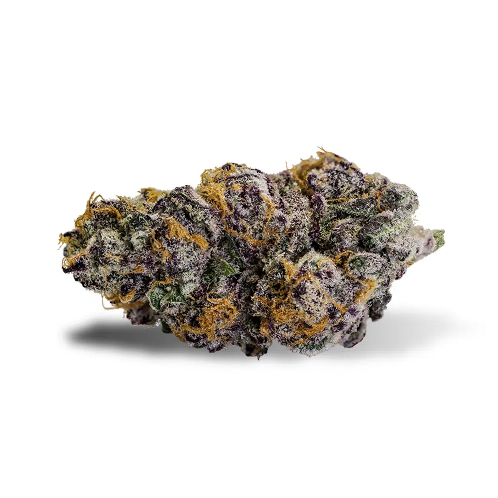 Theory-Flower-purple-punch.jpg Purple Punch Strain