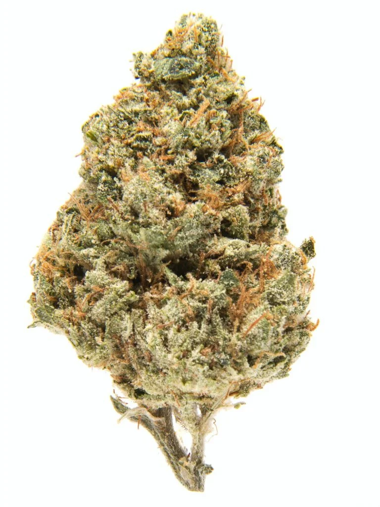 godfather-OG-1-768x1024-1 godfather OG strain