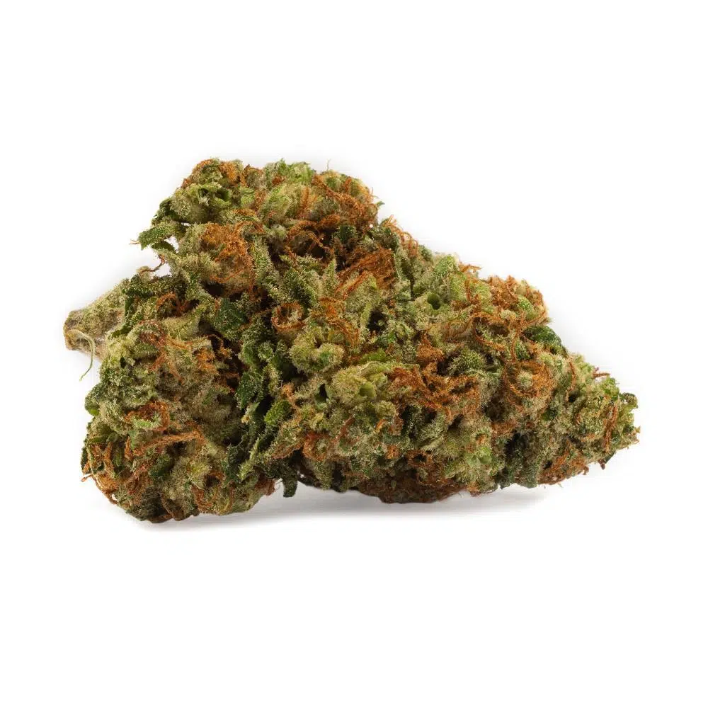 kosher-Kush-Strain.jpg kosher Kush Strain
