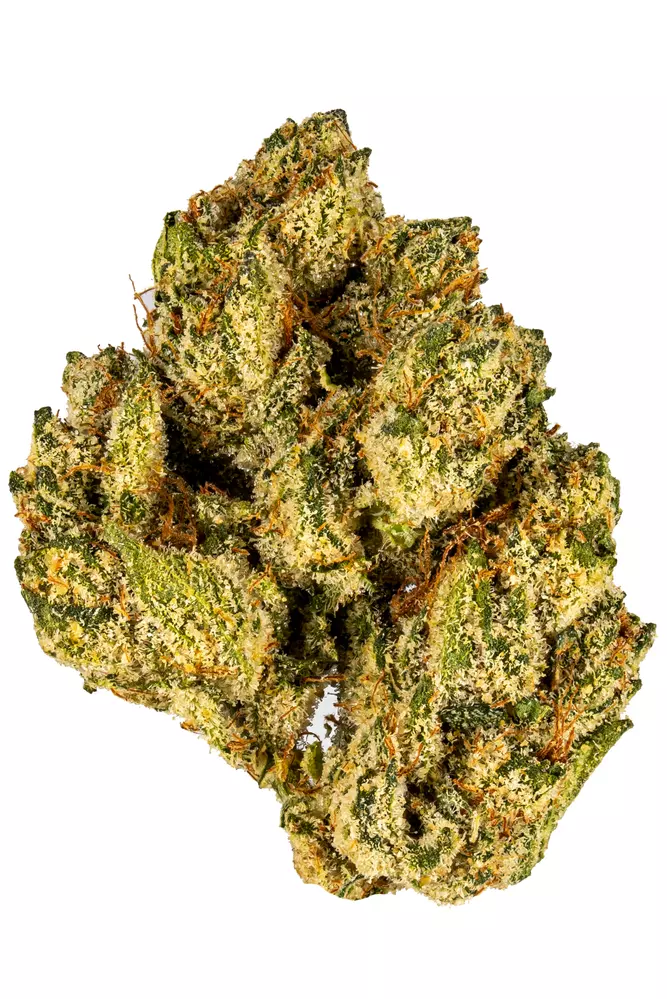 Northern-Lights-strain Northern Lights Strain