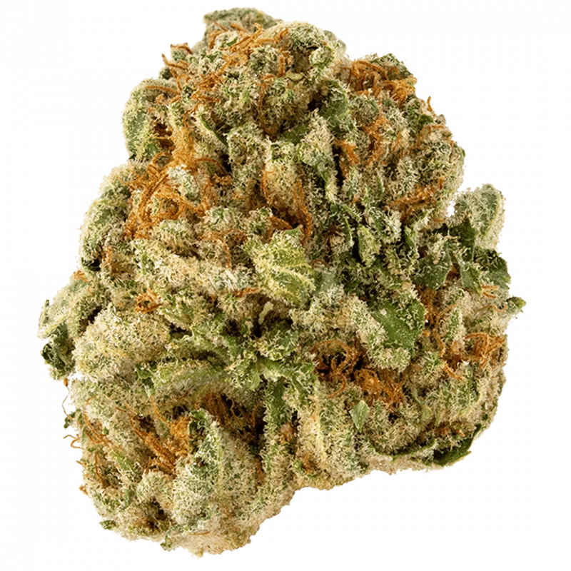 Super-Sour-Diesel-Strain-800x800-1 (1) Supper Sour Diesel Strain