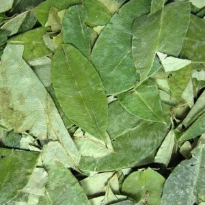 Dubai, UK, Asia, Canada, USA, EU