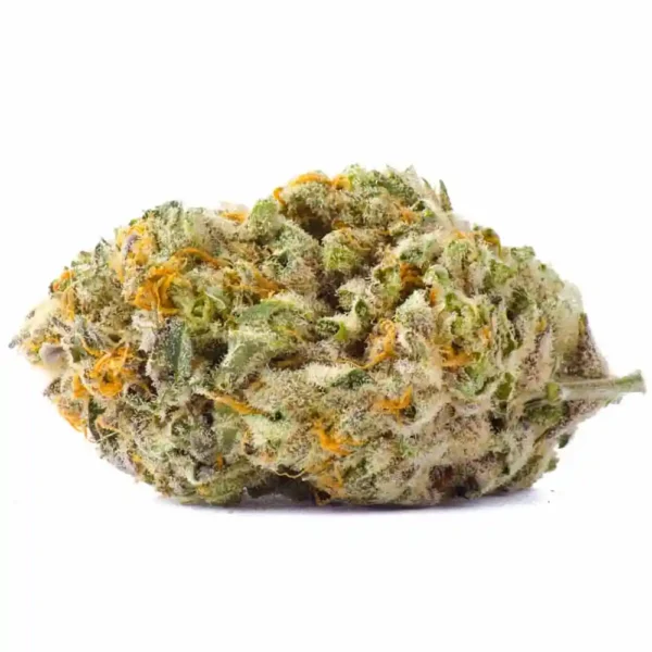 buy king tut marijuana strain