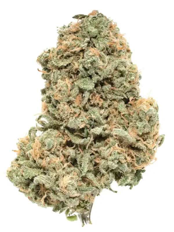 Buy strawberry cough weed