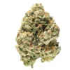 Buy blue guava cannabis strain