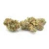 Buy bubblegum gelato strain online