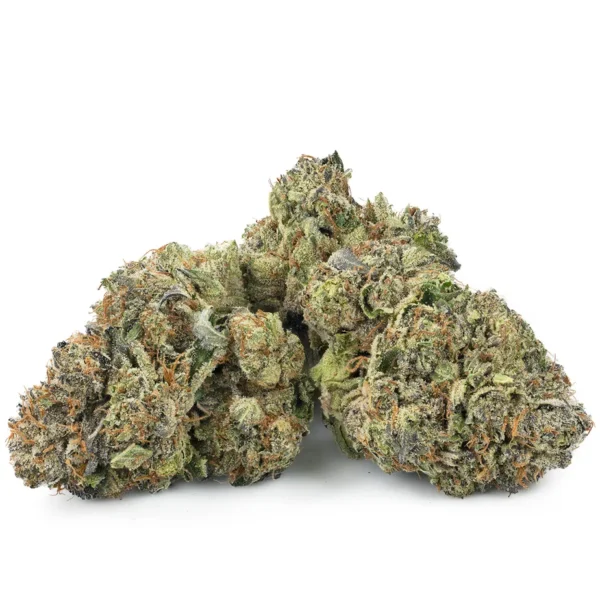 Buy pluto kush strain