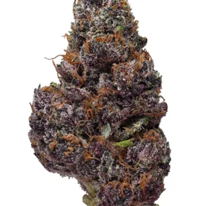 Buy Black Cherry OG online