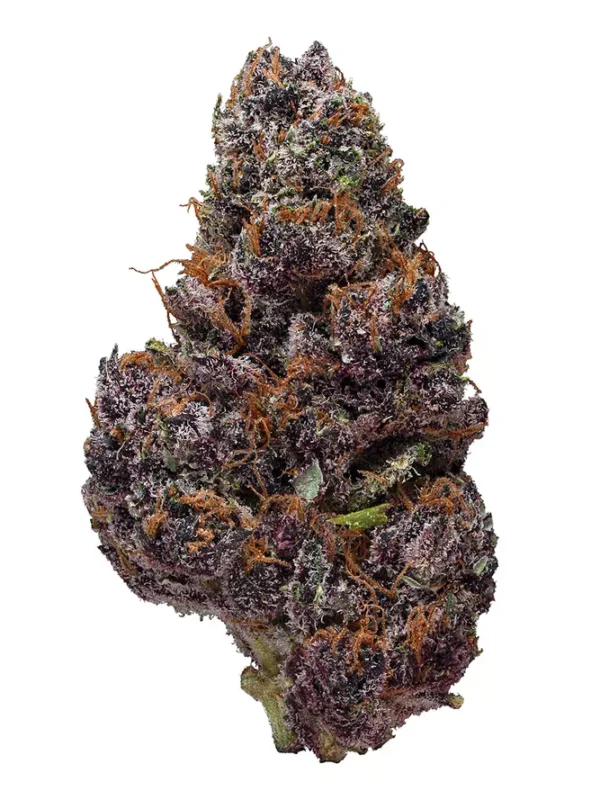 Buy Black Cherry OG online