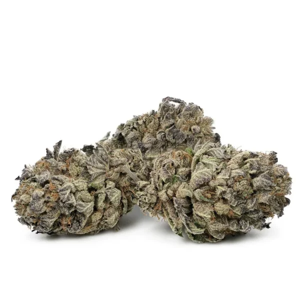 Buy Black domina strain online