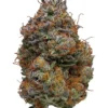 Buy Blackberry Kush online 