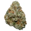 Where to buy candyland strain