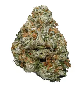 Where to buy candyland strain