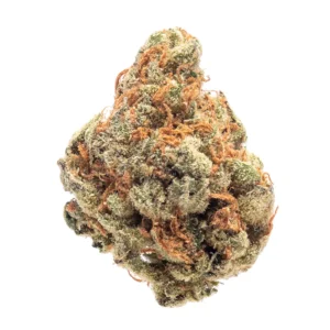 Where to buy super lemon haze