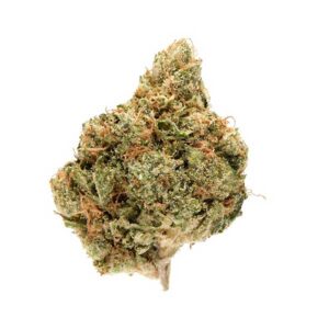 Buy king louis marijuana strain online