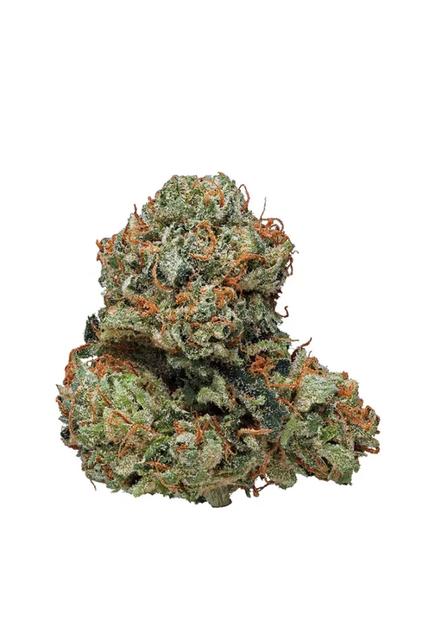 Buy Kosher Kush strain online