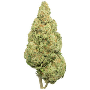 Buy lemon pound cake strain for sale