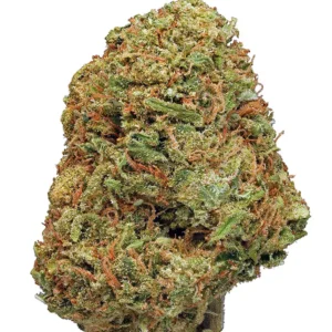 Buy northern lights strain online