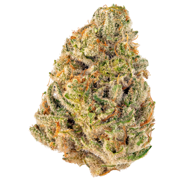 Buy clementine strain online