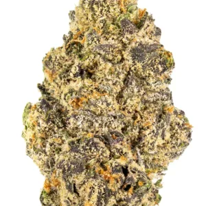 where to get Runtz Strain near me