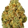 Buy watermelon zkittlez strain