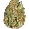 Buy White Rhino weed strain