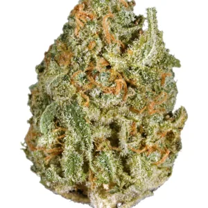 Buy White Rhino weed strain