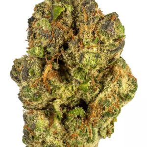 where to buy berry pie strain