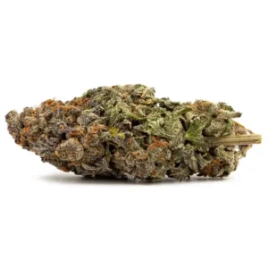 Where to buy blueberry strain