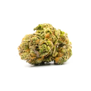 Buy dolato strain online