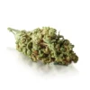 Buy fatso strain online