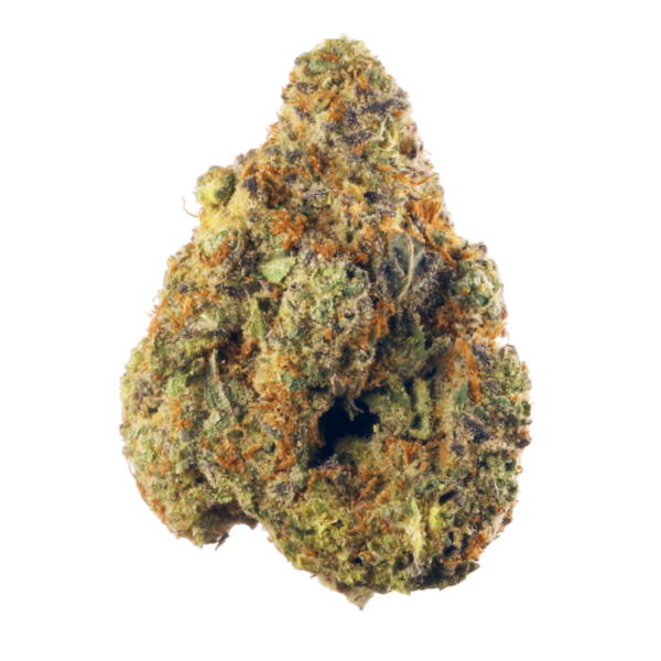 Hindu Kush for sale