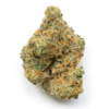 Buy moby dick marijuana strain