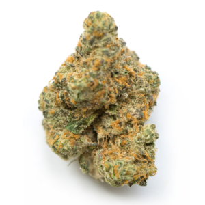 Buy moby dick marijuana strain