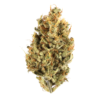 Buy g13 strain