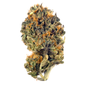 Buy garanimals strain online