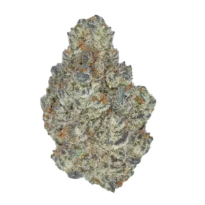 buy white durban online