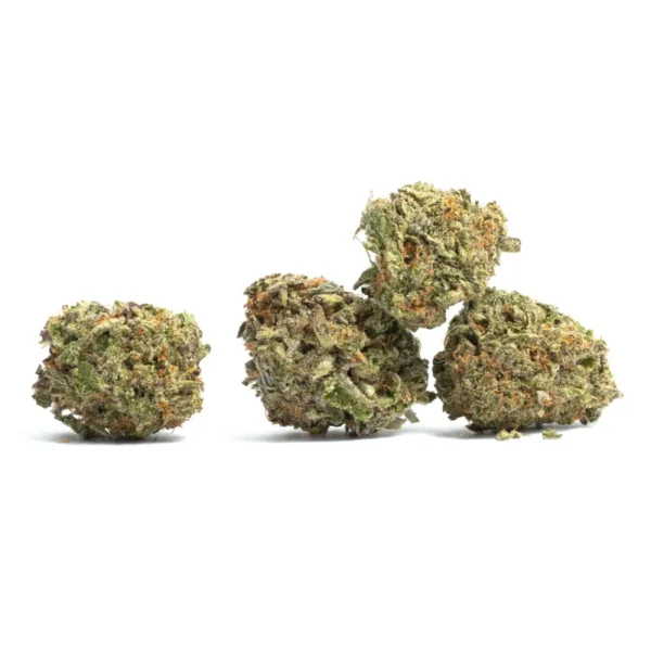 Buy God’s gift strain online