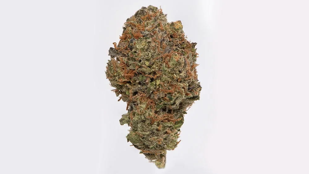 ChunkDawg-1920x080_0001_Sugar-Leaf_6204-Chunk-Dawg-HP-EdIT buy Chunk Dawg strain online