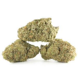 Buy Girl Scout Cookies Strain Online