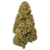 Buy Sour Tsunami Strain Online